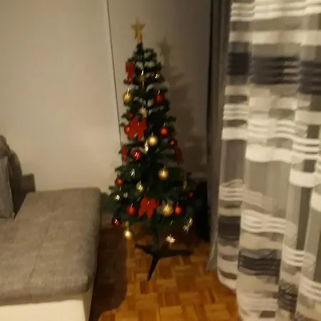 Apartman Borik 公寓